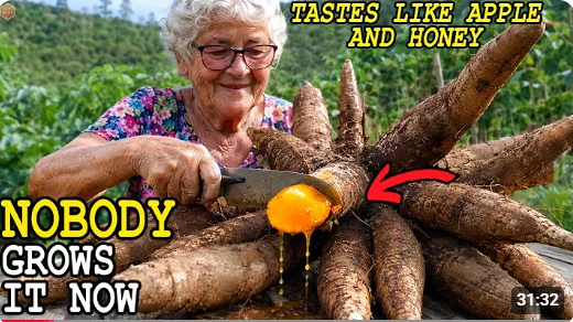 Tastes Like Apple and Honey. Grandma Planted It Once — Why Does Nobody Grow It Now?