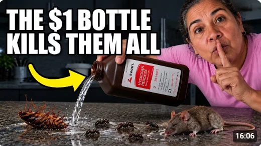 Hydrogen Peroxide Kills Roaches, Ants and Mice, The $1 Bottle Exterminators Hide (The Mexican Way)